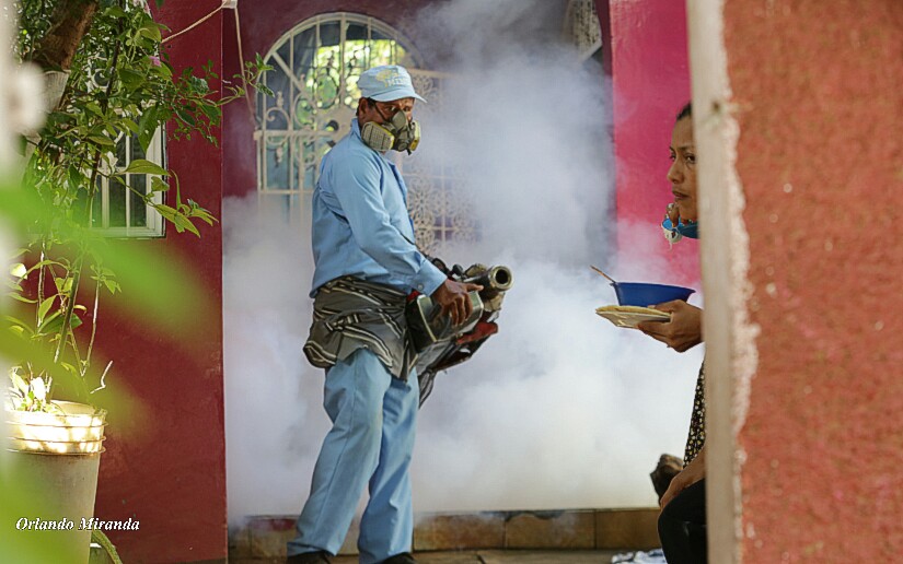 Fumigar2
